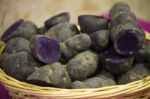 Purple Potato Stock Photo