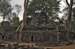 Ta Prohm Temple Stock Photo