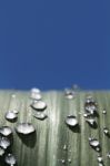 Raindrops On Leaf Stock Photo