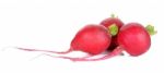 Red Radish Isolated On The White Background Stock Photo