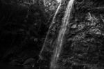 Twin Falls Waterfall Located In Springbrook National Park Stock Photo