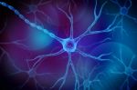 Neuron In Colour Background Stock Photo