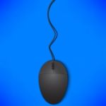 Mouse Isolated On Blue Background Stock Photo