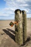 Sandsend Groynes - Sandsend Stock Photo