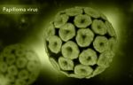 Papilloma Virus Stock Photo