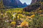 Verdant Virgin River Valley Stock Photo