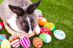 Rabbit And Easter Eggs In Green Grass Stock Photo