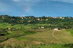 Montepulciano, Tuscany/italy - May 19 : Countryside Near Montepu Stock Photo