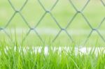 Green Grass And Fence Background Stock Photo