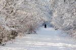 Winter Scene In East Grinstead Stock Photo