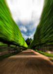 Green Idyllic Tree Alley Park Motion Abstract Stock Photo