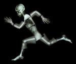 Marathon (human Bone Is Running) ,(whole Body X-ray : Head ,neck ,shoulder ,arm ,elbow ,forearm ,hand ,finger ,joint ,thorax ,abdomen ,back,pelvis ,hip ,thigh ,leg ,knee ,foot ,heel) Stock Photo