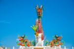 Dragon Chinese In Thailand Stock Photo