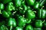 Sweet Pepper Stock Photo