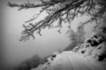 Snow And Rocks Stock Photo