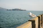 View On Alcatraz Island Stock Photo