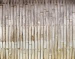 Old Bamboo Texture Stock Photo