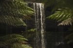 Russell Falls In Mount Field National Park Stock Photo