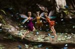 3d Rendering Of A Fairies Flying In Magical Forest Stock Photo