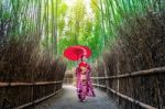 Bamboo Forest. Asian Woman Wearing Japanese Traditional Kimono At Bamboo Forest In Kyoto, Japan Stock Photo