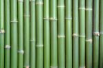 Bamboo Stock Photo