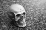 Still-life Of Human Skull On Granite Texture Background Stock Photo