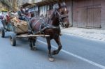 Bicaz Gorge, Moldovia/romania - September 19 : Man With Horse An Stock Photo