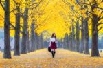 Beautiful Girl With Yellow Leaves In Nami Island, Korea. Nami Island In Autumn Stock Photo