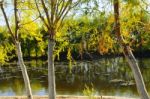 Autumn Scenery Near A Lake With Yellow Leaves On  Trees In Fall Stock Photo