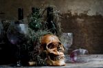 Still Life With A Skull Stock Photo