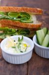 Fresh Vegetarian Sandwich With Garlic Cheese Dip Salad Stock Photo