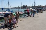 Parents Showing Children How To Catch Crabs In Wells Stock Photo