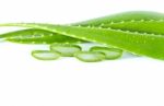 Aloe Vera Stock Photo