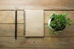 Flower Pot  Placed On A Wood Table With Notebook And Pencil Stock Photo