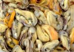 Mussels background Stock Photo