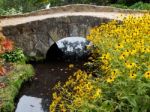 Black-eyed Susan Flowers By A Small Bridgeat Wakehurst Place In Stock Photo