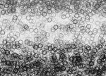 Horizontal Black And White Bokeh Blobs Background Stock Photo