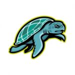 Ridley Sea Turtle Mascot Stock Photo