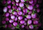 Purple Eggplant Violet King Stock Photo