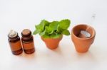 Mint Essential Oil In A Glass Bottle With Leaves On White Backgr Stock Photo