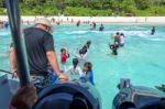 Tourists Arriving By Boat At Similan Island, Thailand Stock Photo