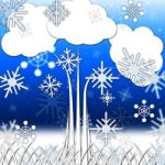 Tree Background Means Branches Leaves And Snowflakes
 Stock Photo