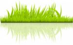 Green Grass Stock Photo