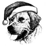 Labrador Retriever Dog With Christmas Santa Hat Stock Photo