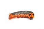 Orange Caterpillar Stock Photo