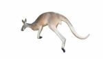 Red Kangaroo Jumping Stock Photo