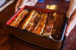 Unangi Grilled Eel Over Rice With Japanese Sauce Stock Photo