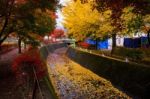 Maple Tunnel In Autumn, Kawaguchiko Stock Photo