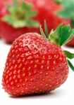 One Strawberry Stock Photo