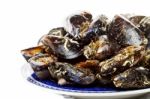 Blue Mussel Bivalve Stock Photo